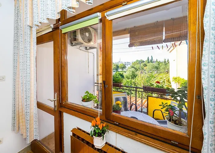 Apartman Solomir Apartment